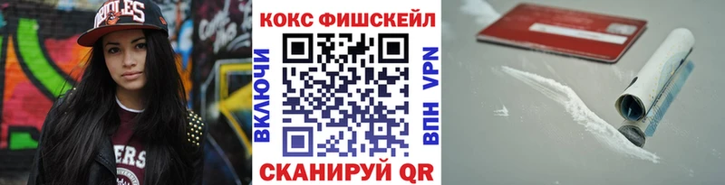 COCAIN Fish Scale  Купить где  Великий Устюг 