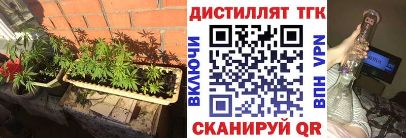 Купить где Великий Устюг ТГК гашишное масло