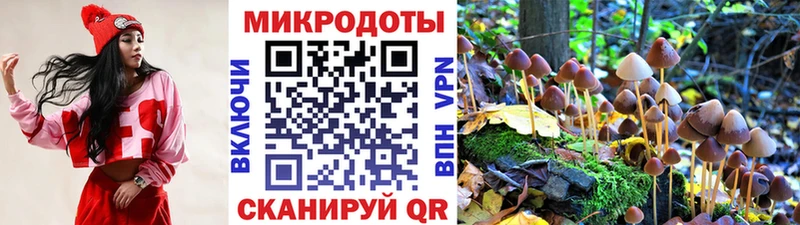Псилоцибиновые грибы Magic Shrooms  Купить где  Великий Устюг 